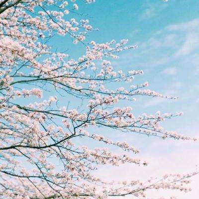 新澳门六开彩资料大全app下载